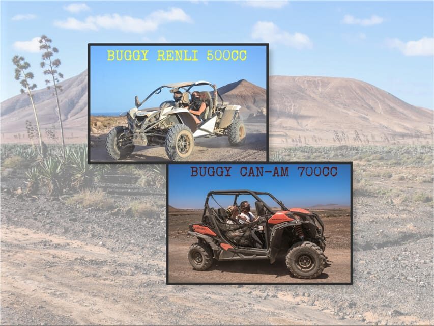 Fuerteventura: Dune Buggy Tour in Northern Fuerteventura - Key things I’d pin to the top