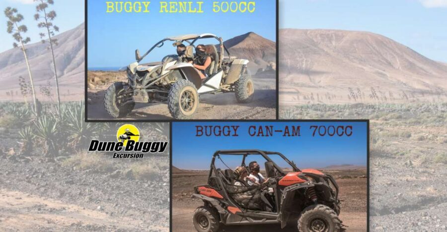 Fuerteventura: Dune Buggy Tour in Northern Fuerteventura - Villaverde and the Volcanic Area: where the ride turns properly rugged