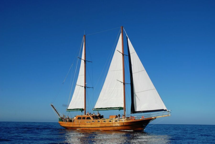 Fuerteventura: Exclusive Turkish Gulet Cruise with Lunch - The volcanic coastline you came for, seen from the water