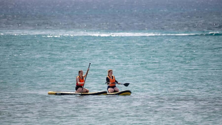 Fuerteventura: Explore Costa Calma Bay on a SUP Board! - Key highlights worth your attention