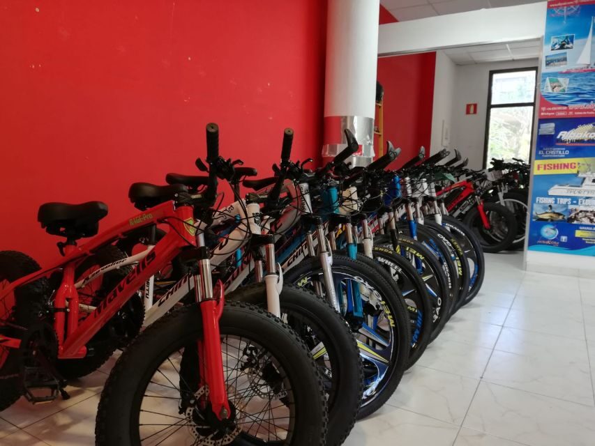 Fuerteventura: Explore the Area with a Bike Rental - Money and value: is $17 really the right price?