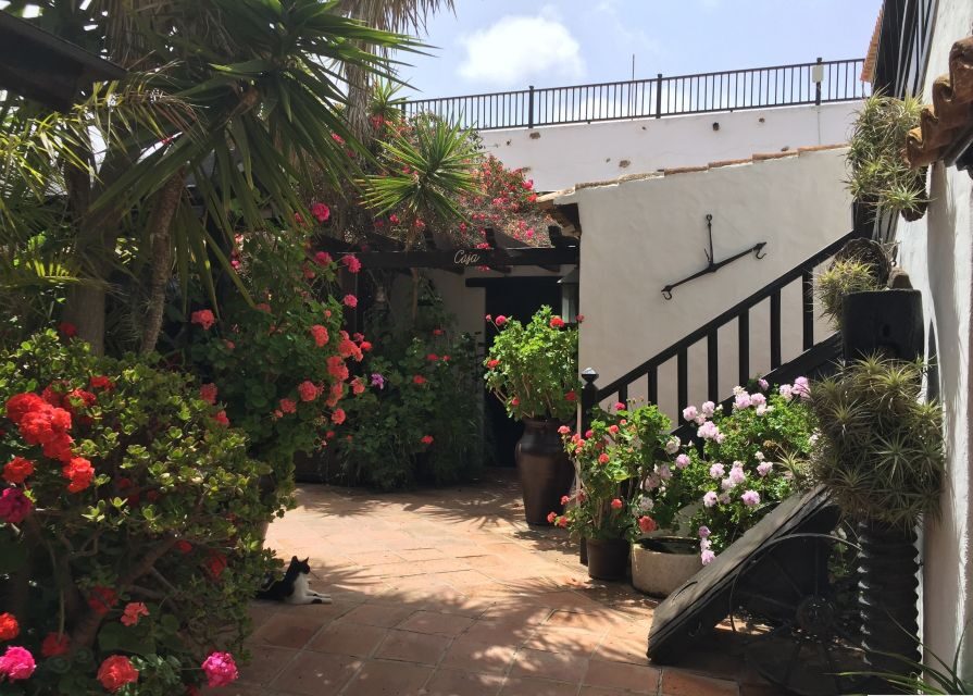 Fuerteventura: Full Day Tour with Lunch - South Fuerteventura to the Island’s “Other Side” in One Day