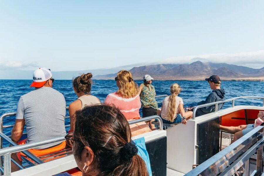 Fuerteventura: Glass Bottom Boat Cruise with Lunch & Drinks - What you actually see through the underwater viewing deck