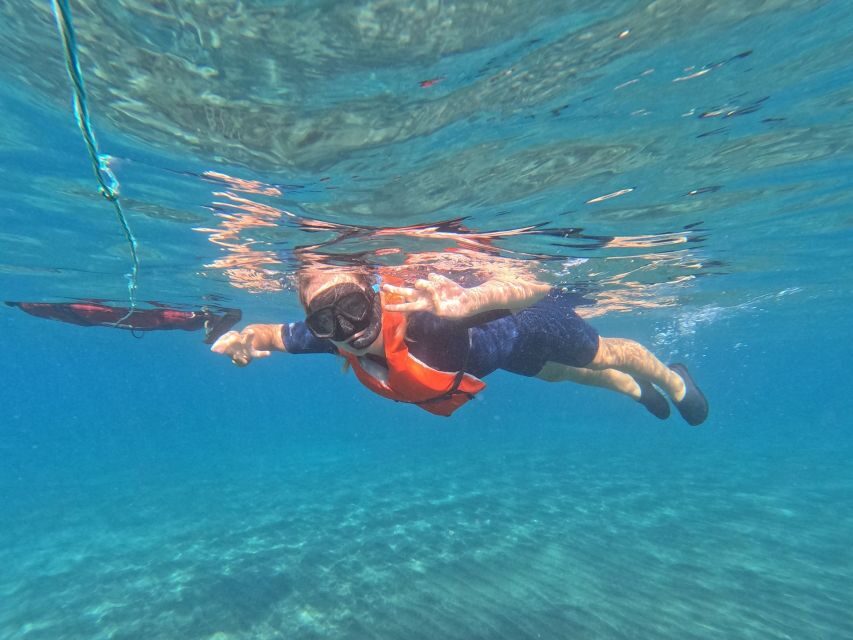 Fuerteventura: Guided Snorkeling in La Lajita with Pickup - From Your Hotel to the Water, Without the Headaches