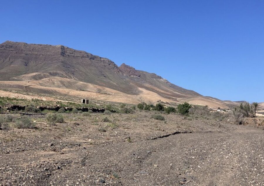 Fuerteventura: Guided Trekking Tour with Island Goats - The hike itself: 8 km of rough terrain with steep stretches