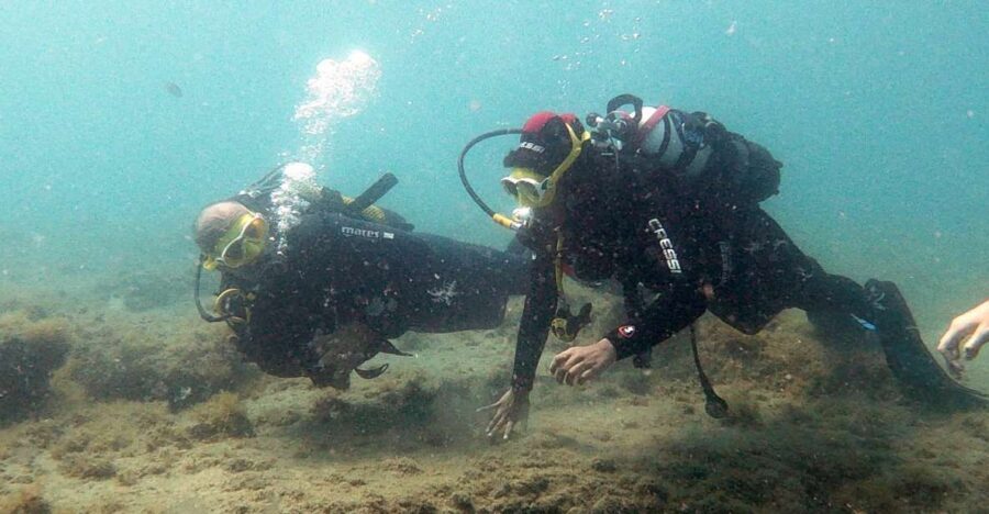 Fuerteventura: Introduction to Scuba Diving - Key things that make this experience worth it