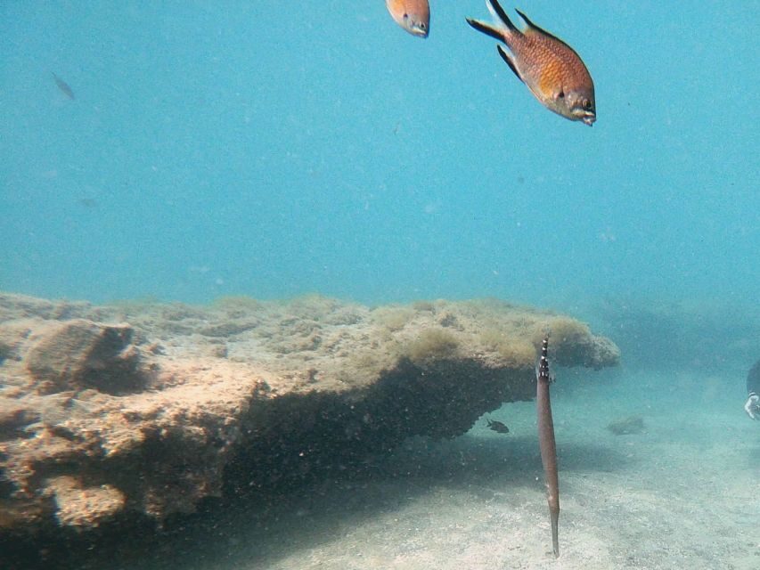 Fuerteventura: Introduction to Scuba Diving - Gear fitting and practice: the “before you go out” part that saves your confidence