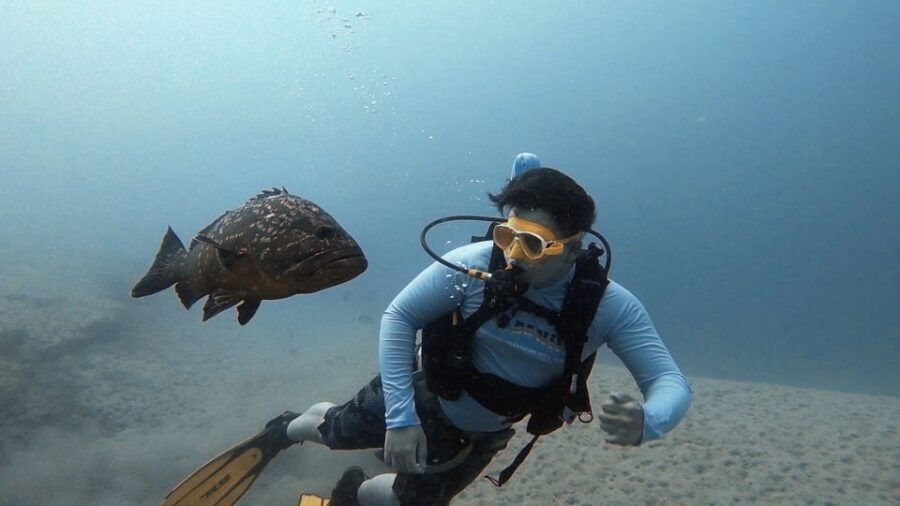 Fuerteventura: Introduction to Scuba Diving - Hotel pickup across Costa Calma to La Lajita: why the van route matters
