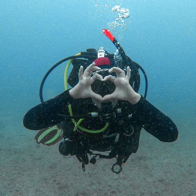 Fuerteventura: Introductory Dive in La Lajita with Pickup - Getting ready on land: the 30-minute training that sets the tone