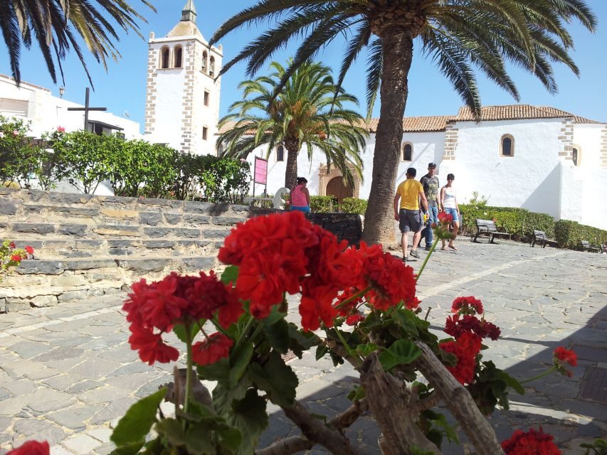 Fuerteventura: Island Tour by Minibus - Aloe Vera Farm Stop: A Plant With a Job