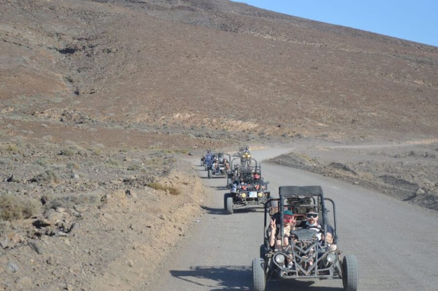 Fuerteventura: Jandía Natural Park & The Puertito Buggy Tour - Inside the buggy: what you can expect on the ground