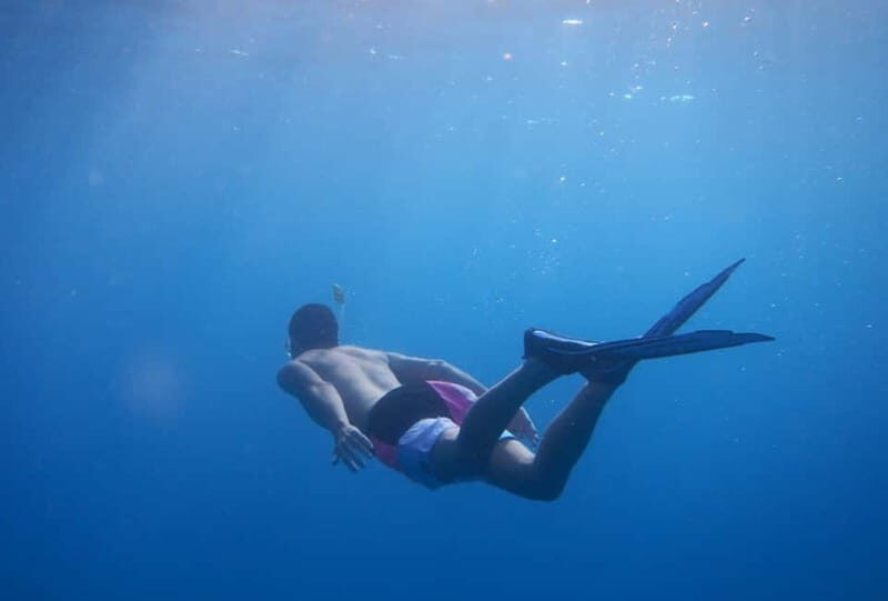 Fuerteventura: Lobos Island Catamaran Cruise with Lunch - Key highlights to pay attention to