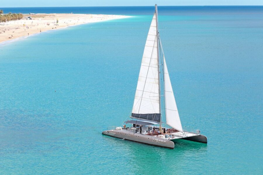 Fuerteventura: Magic Catamaran Trip with Food and Drinks - Jandía Wildlife Time: Dolphin and Whale Watching Without Pressure
