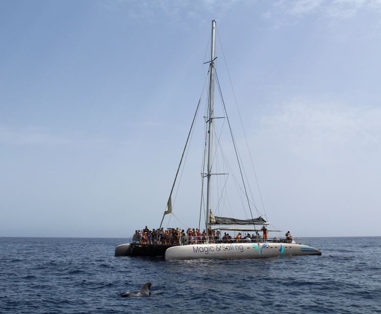 Fuerteventura: Magic Catamaran Trip with Food and Drinks - Practical Tips for a Smooth Day (So You Enjoy It Faster)