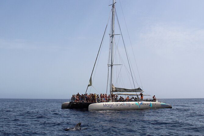 Fuerteventura: Magic Select Catamaran Trip with Food & Drinks - Lunch and Drinks on Board: Simple, Included, and Usually Good