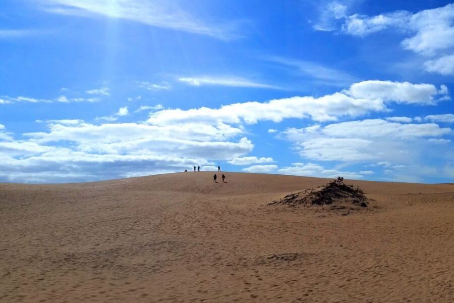 Fuerteventura: Panoramic Tour - Corralejo Sand Dunes Natural Park: where the sand becomes a viewpoint