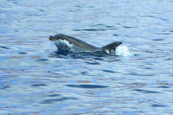 Fuerteventura Sailing Trip from Morro Jable - Wi‑Fi on board: useful, but don’t let it run the day
