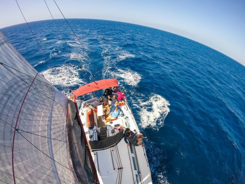 Fuerteventura: Sailing with Snorkeling and Dolphin Watching - Key things to know before you sail