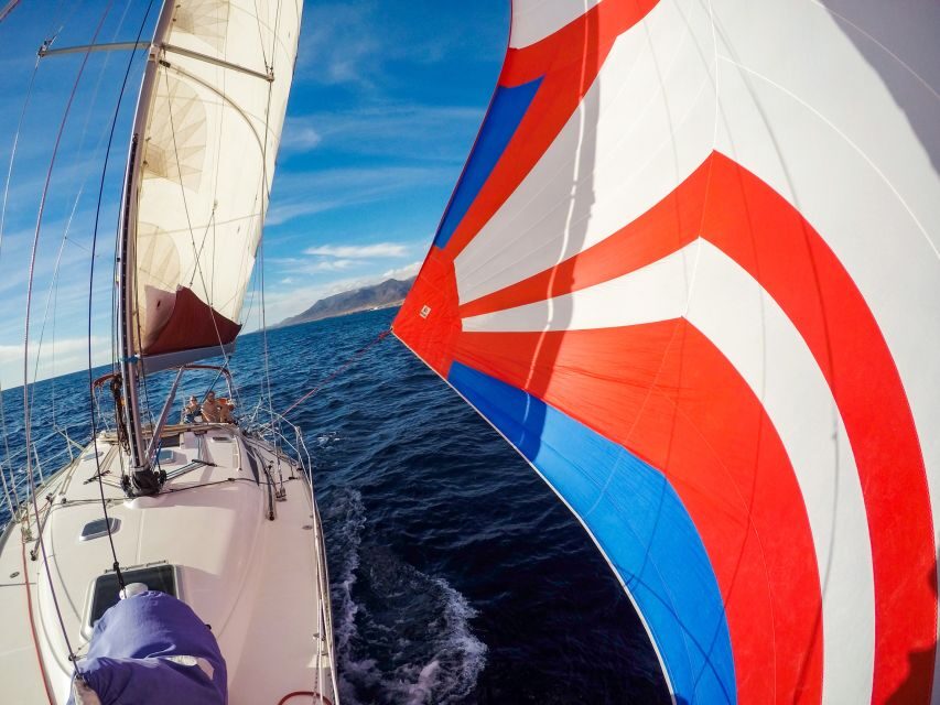 Fuerteventura: Sailing with Snorkeling and Dolphin Watching - Offshore sailing: sails up, engine off, and radio to find sea mammals