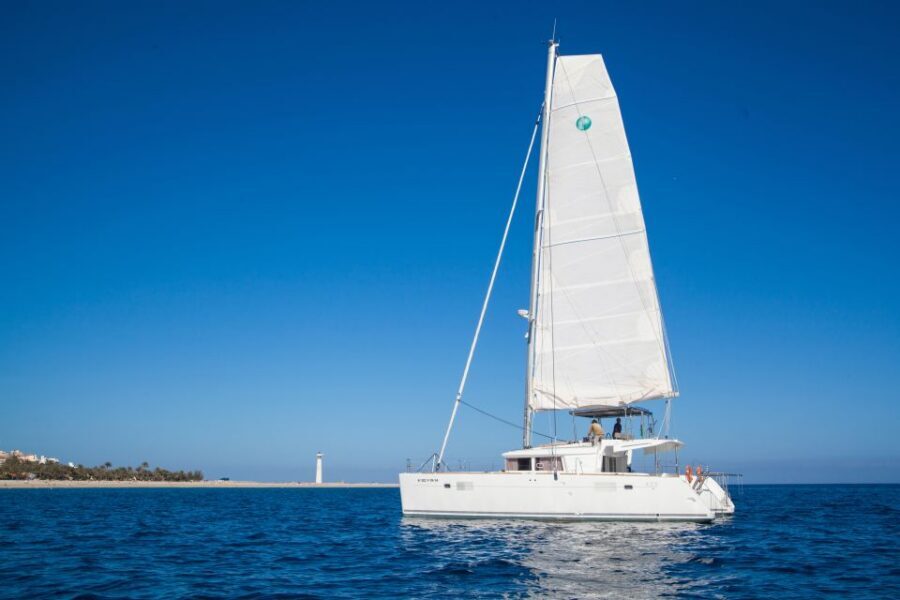 Fuerteventura: Small-Group Magic Deluxe Catamaran Cruise - Drinks and the mood: open bar plus a friendly crew