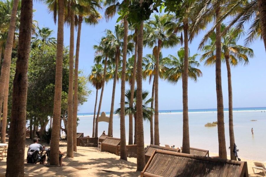 Fuerteventura South Full-Day Tour - What to Bring (So the Day Feels Easy)