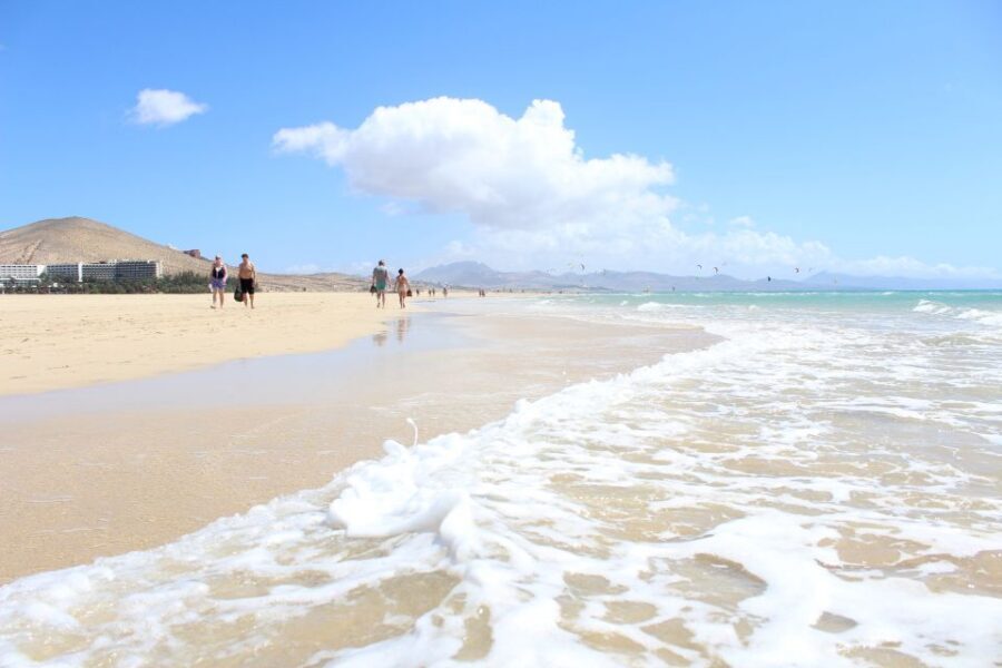 Fuerteventura South Full-Day Tour - The Small-Group Setup: Minivan Pickup and a Max of 8