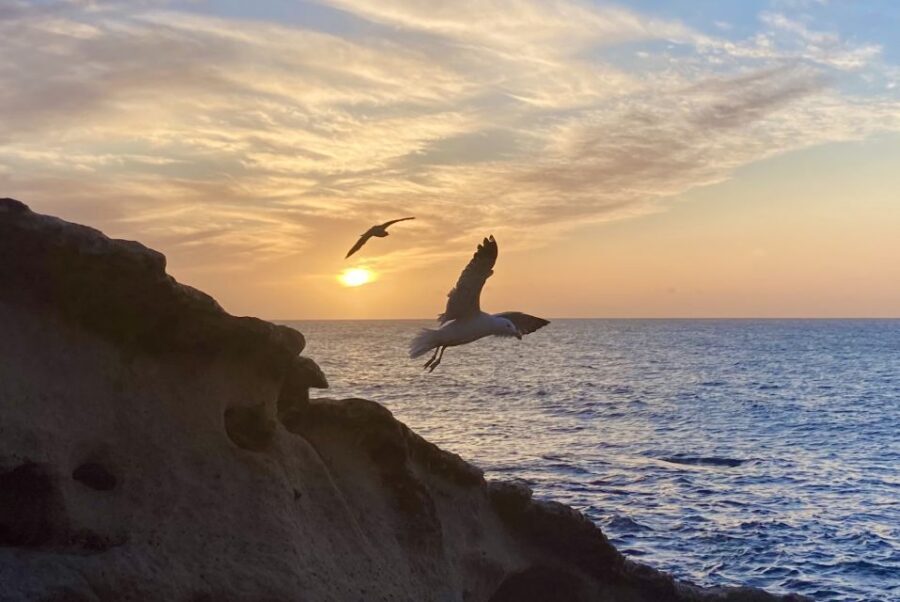 Fuerteventura sunset hike to the wild west coast - Pickup and transfer: start from the south without the hassle