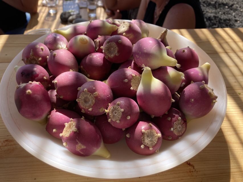 Fuerteventura: Tapas and Local Life Guided Tour - Olive Tree Lessons and Extra Virgin Tasting Under Real Conditions