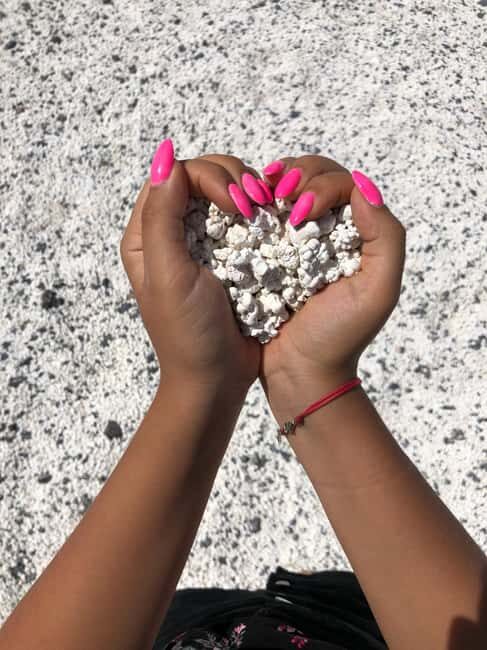 Fuerteventura: Top 5 Instagram Spots Full-Day Tour & Tapas - Key takeaways before you go