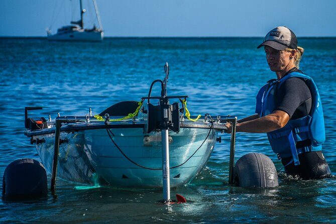 Fuerteventura: Transparent Electric Kayaks with Guide - Key things to know before you go