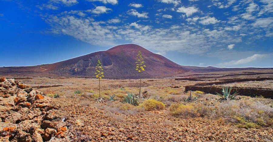 Fuerteventura: Trekking Tour Through the North of the Island - Key things you’ll notice right away