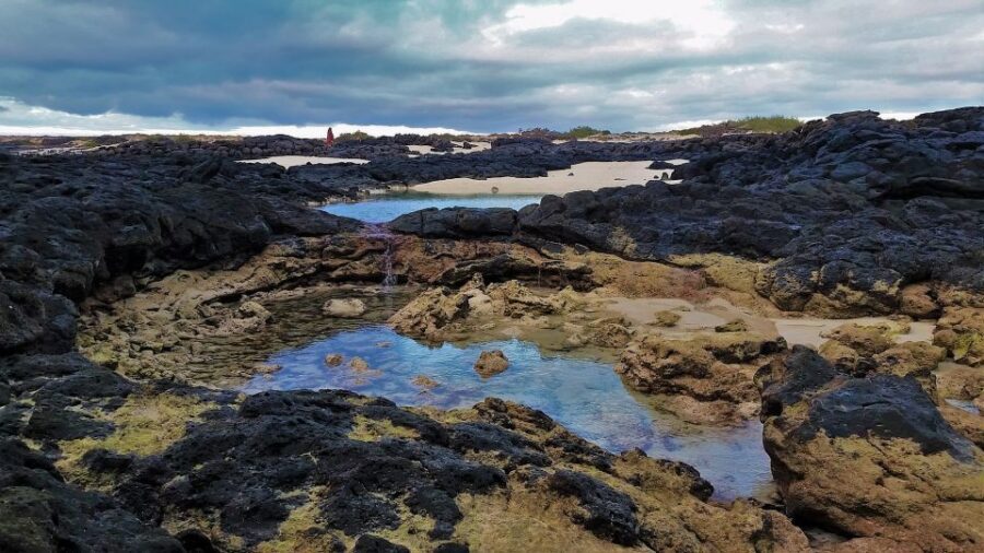 Fuerteventura: Trekking Tour Through the North of the Island - Who should book this trek, and who should skip it