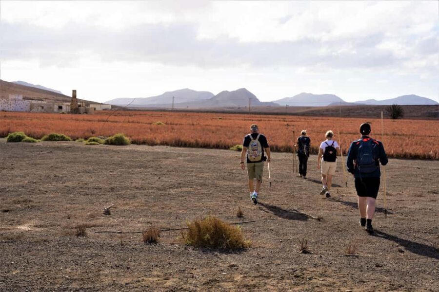 Fuerteventura: volcanic hike to the crater edge - The hike itself: 6 km of volcanic rock, narrow paths, and big views