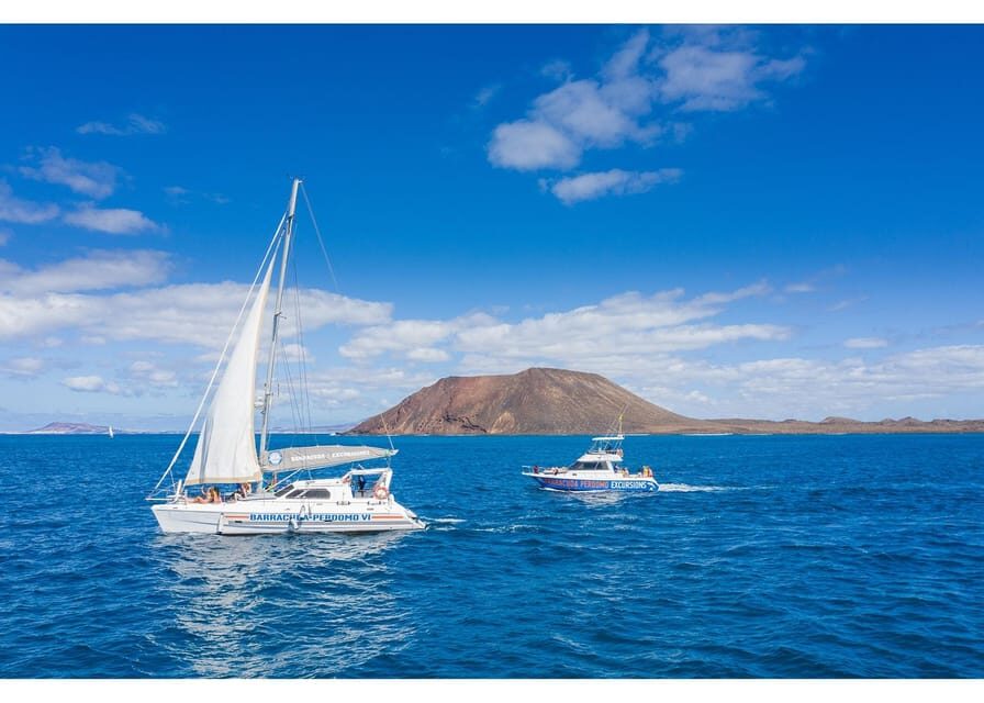 Fuerteventura: Whale & Dolphin Watching Boat Tour with Guide - Paella lunch plus beer, wine, sangria: eating like you’re on a yacht