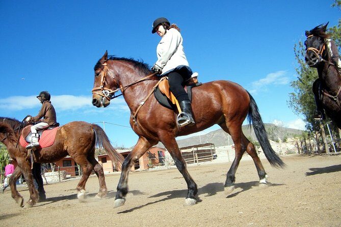 Horseback Riding in Fuerteventura for 1 or 2 hours, Spain - Key points at a glance