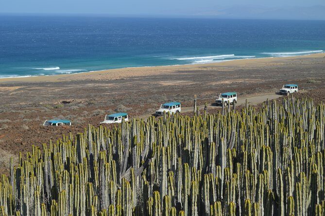 Jeep Tour to Cotillo and Northern Area of Fuerteventura - How This Jeep Safari Works (And Why It’s Worth Your Time)