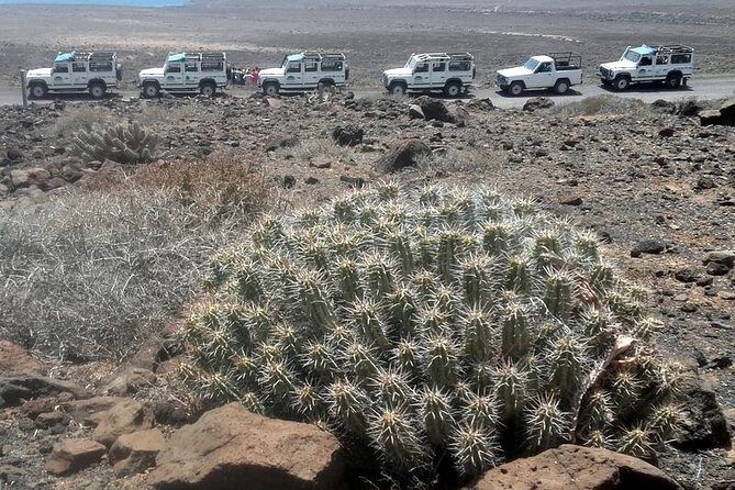 Jeep Tour to Cotillo and Northern Area of Fuerteventura - Playa de Cotillo Swim: Turquoise Water Meets a Fishing Village