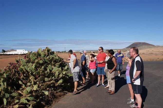 Jeep Tour to Cotillo and Northern Area of Fuerteventura - Price and Timing: Is $75 Good Value?