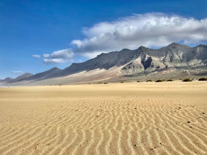 Kingdom Jandia: Cofete Beach & Roque Del Moro - Music and guide storytelling: small touches that change the mood