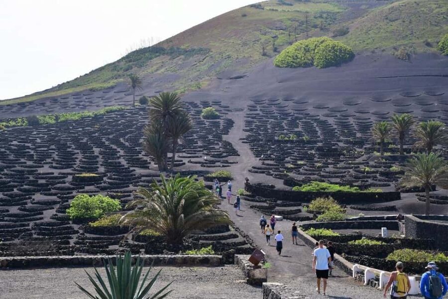 Lanzarote Shopping from Caleta de Fuste (Fuerteventura) - Corralejo Harbour to Playa Blanca Ferry: Simple, Fast, Scenic