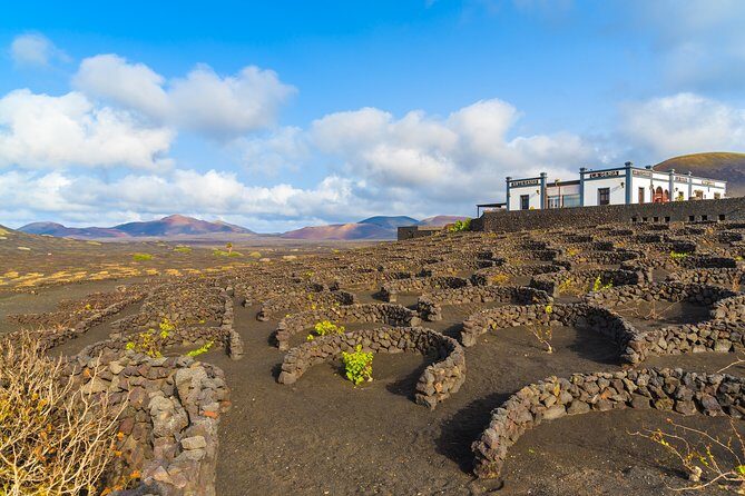 Lanzarote Volcano and Wine Region Tour from Fuerteventura - Price and Logistics: The Real Trade-Offs