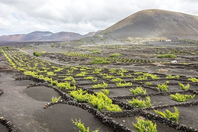 Lanzarote Volcanoes Tour departing from Fuerteventura - Price and value: what $87.83 covers (and what it doesn’t)