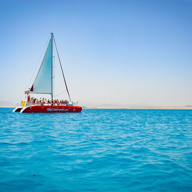 Lobos Island: 4-Hour Catamaran Trip with Lunch - Key things to know before you go