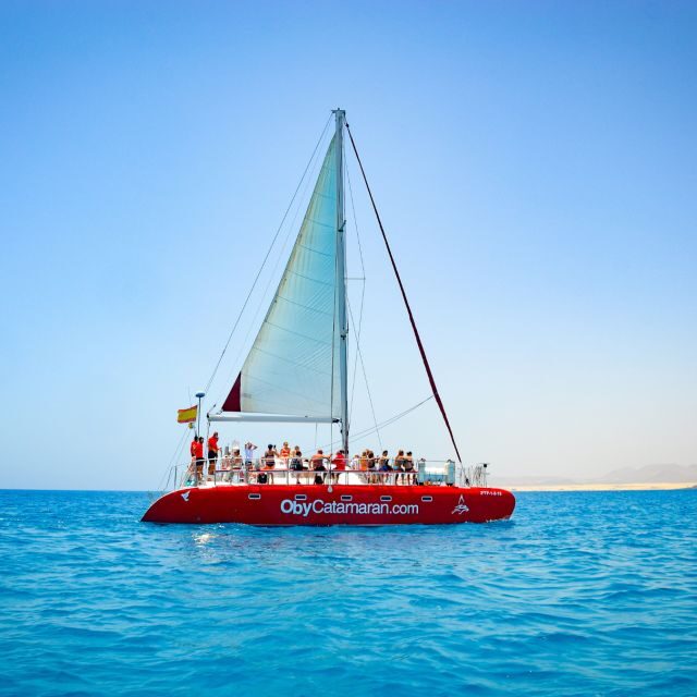 Lobos Island: 4-Hour Catamaran Trip with Lunch - Why a Lobos Island Catamaran Works in Just 4 Hours
