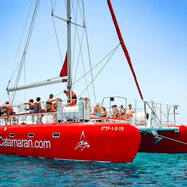 Lobos Island: 4-Hour Catamaran Trip with Lunch - Lobos Island Stop: Swim, Snorkel, Paddle Surf, and Inflatables