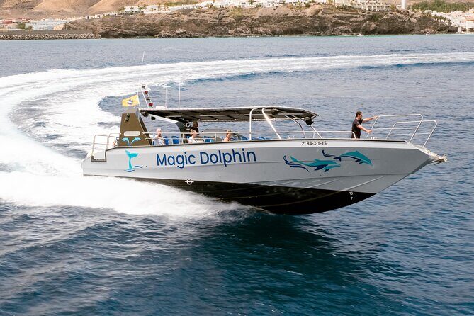 Morro Jable: 2 Hours Magic Dolphin & Whale watching with Drinks & Swim Stop. - The swim stop in Jandía Bay: when it works, it’s the highlight