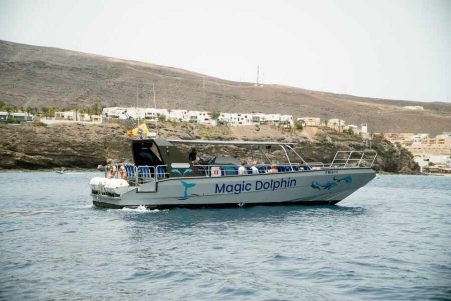 Morro Jable: Dolphin & Whale Watching Cruise, Drinks & Swim - Finding the right launch point in Morro Jable (and how pickup works)