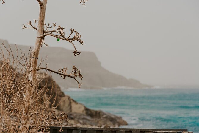 North Central Fuerteventura - Tour with photo shoot - The no-traces approach to photography