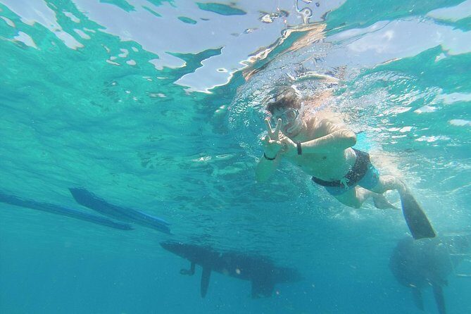 OBY Catamaran - Corralejo boarding: what your afternoon starts to look like