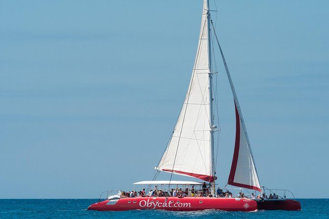 OBYCAT Experience - Why the large catamaran size changes the whole vibe